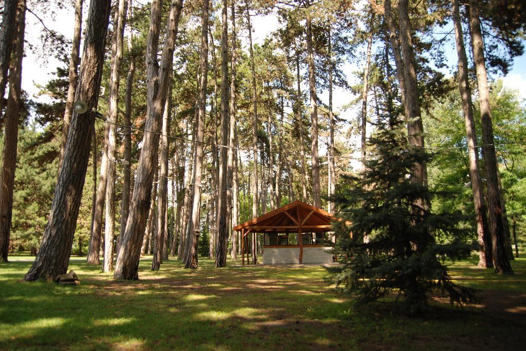 Hotel Villa Majur 수보티차 외부 사진